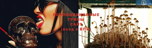ECSTASY Дмитриев