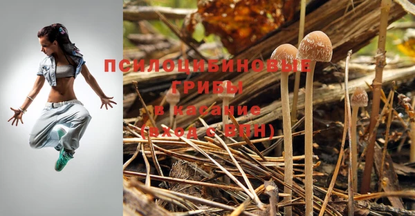 кокаин колумбия Елабуга