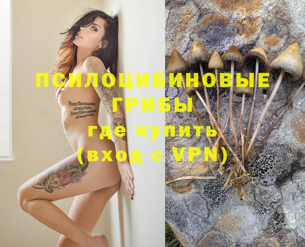 бошки Дмитров
