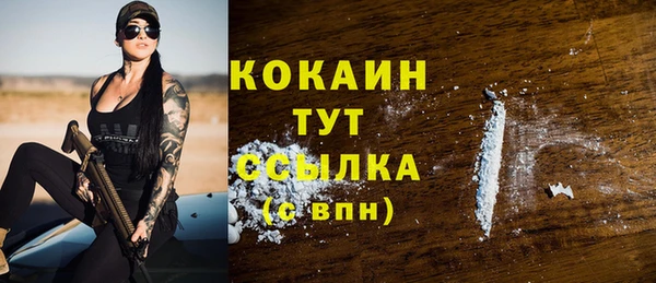 бошки Дмитров