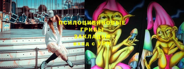 МДПВ Дмитровск