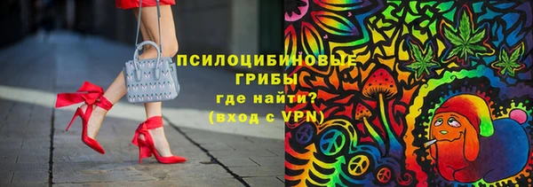 бошки Дмитров