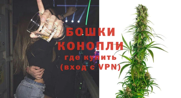 бошки Дмитров