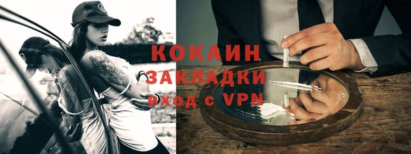 ECSTASY Дмитриев