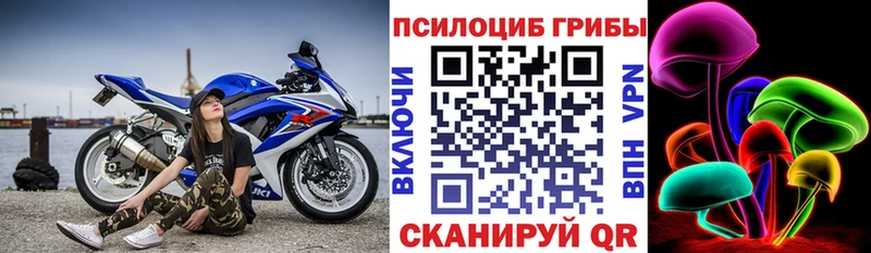 Купить закладки  Короча  Галлюциногенные грибы ЛСД 